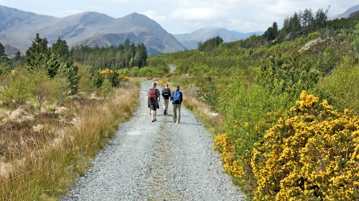 465302_10151162906029338_741867348_o