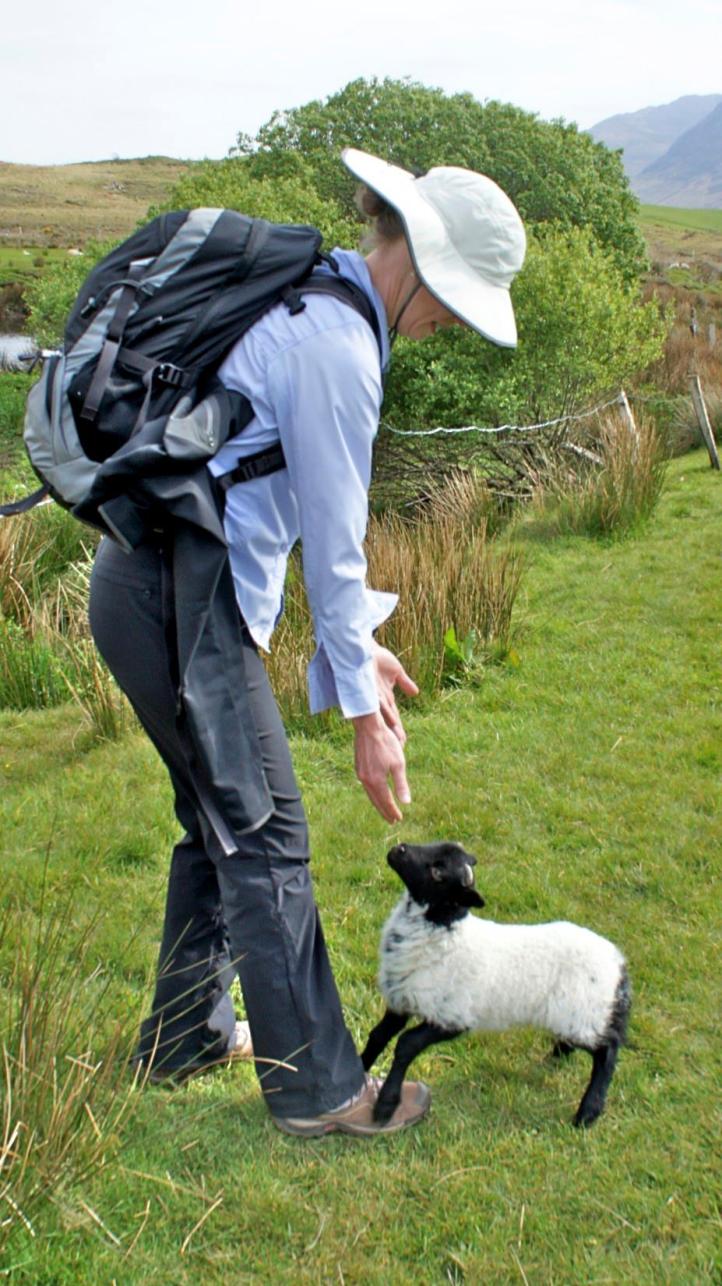 469137_10151162902159338_1720855432_o