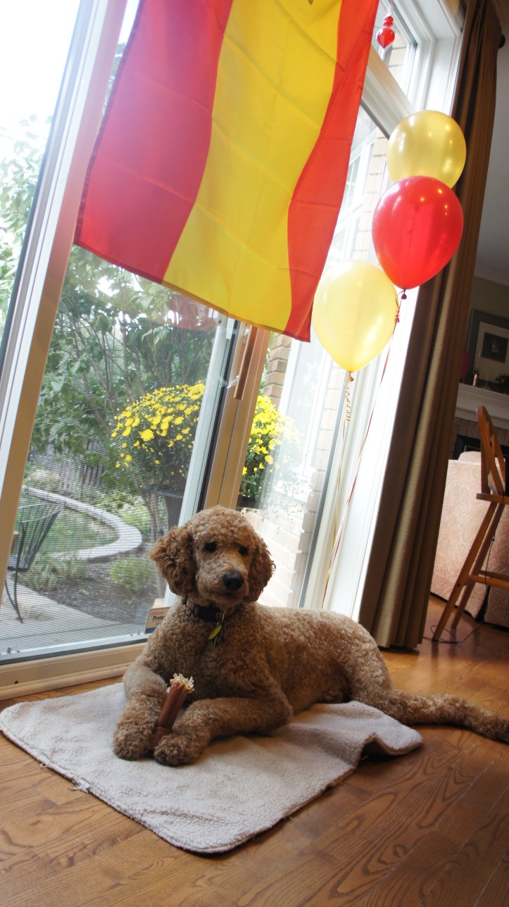 Dunlop enjoying some of the party decorations the next morning.