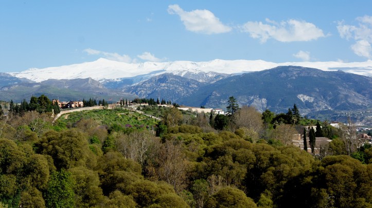 sierra  nevada