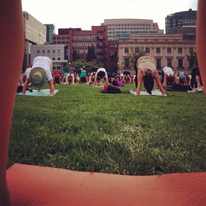 The view from downward dog.