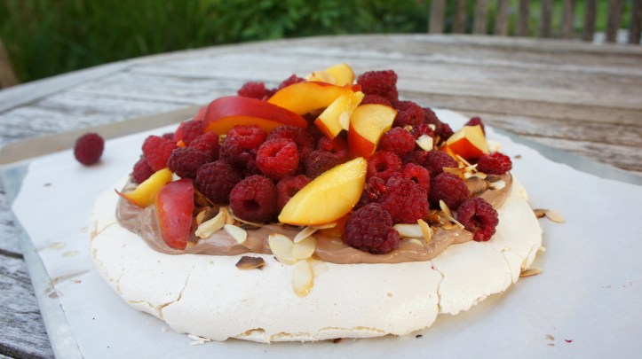 pavlova2