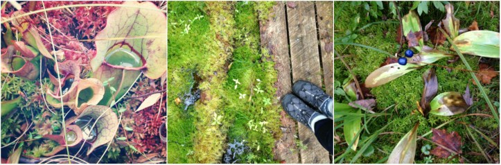 Looking down at fieldcamp.
