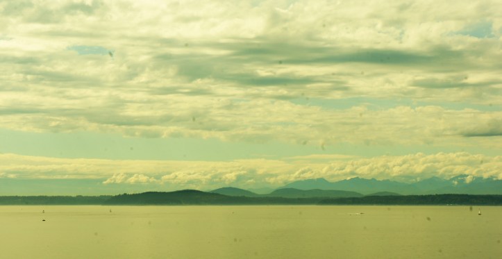 Spotty lens, Seattle scene