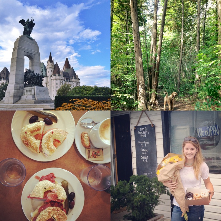 The National War Memorial; dog walks in the city; brunch at the Ottawa Bagel Shop; picking up doughnuts at SuzyQ!