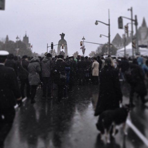 remembranceday2013 Image