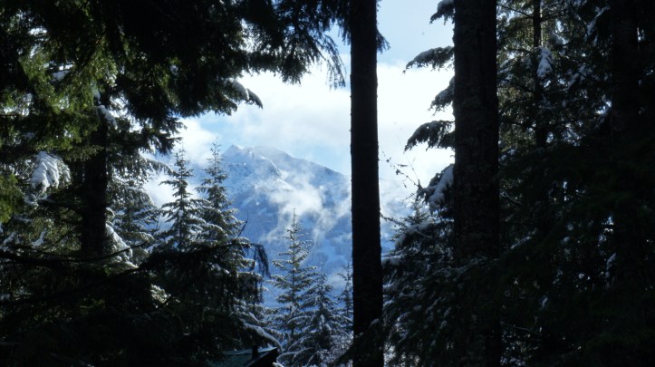 Whistler from our back door. 