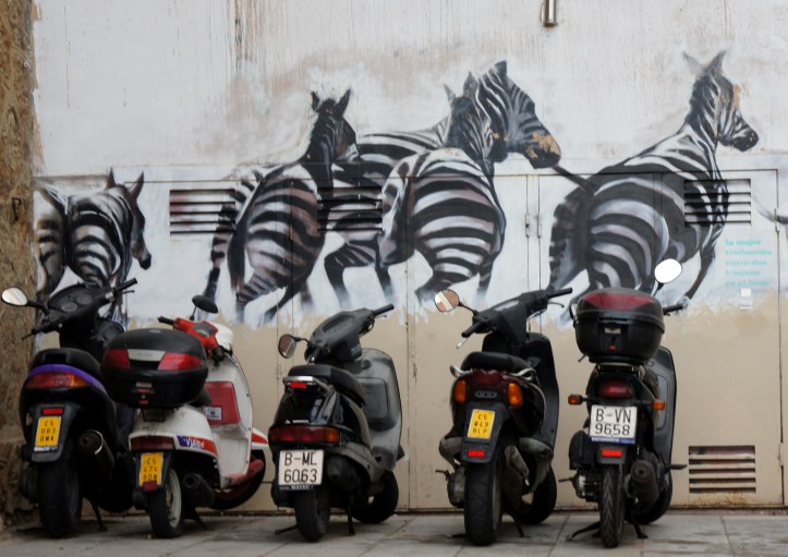 barcelona's zebras