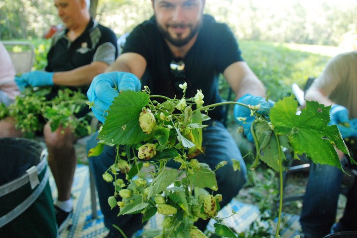 There's a caterpillar camouflaged in there. 