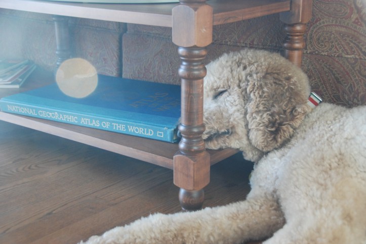 stage cues& deja vus (1)