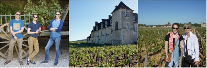 clos de vougeot1