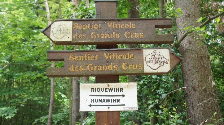 sentier vinicole