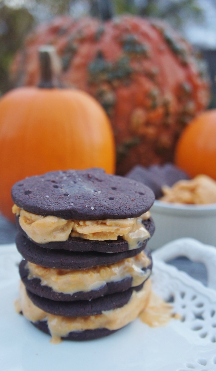 ice cream melts too fast