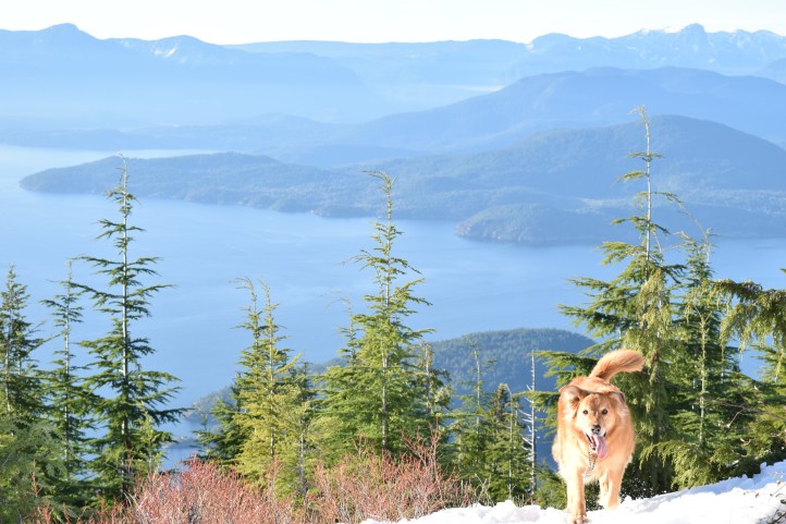 west van & granola (3)