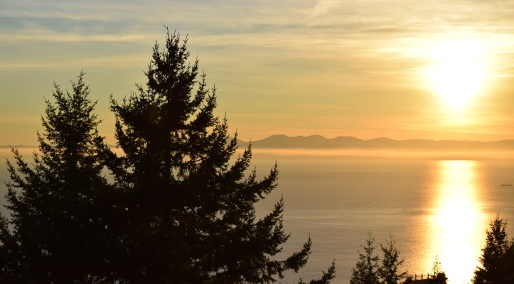 west van & granola (5)