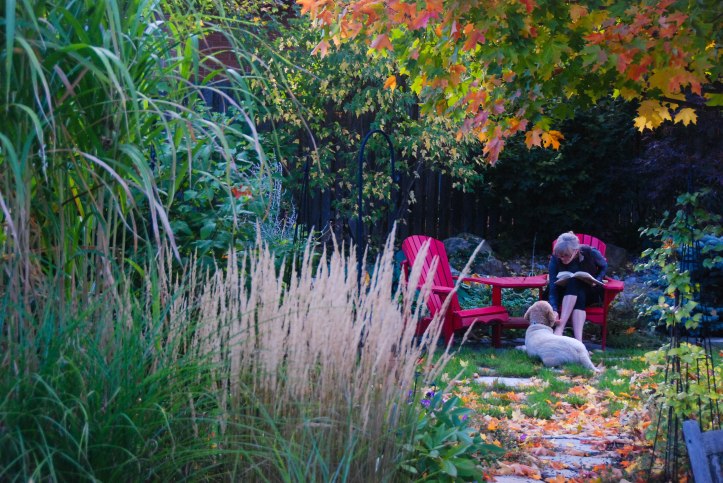 humbler than pie (1 of 15)