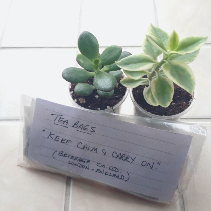 humbler than pie (14 of 15)