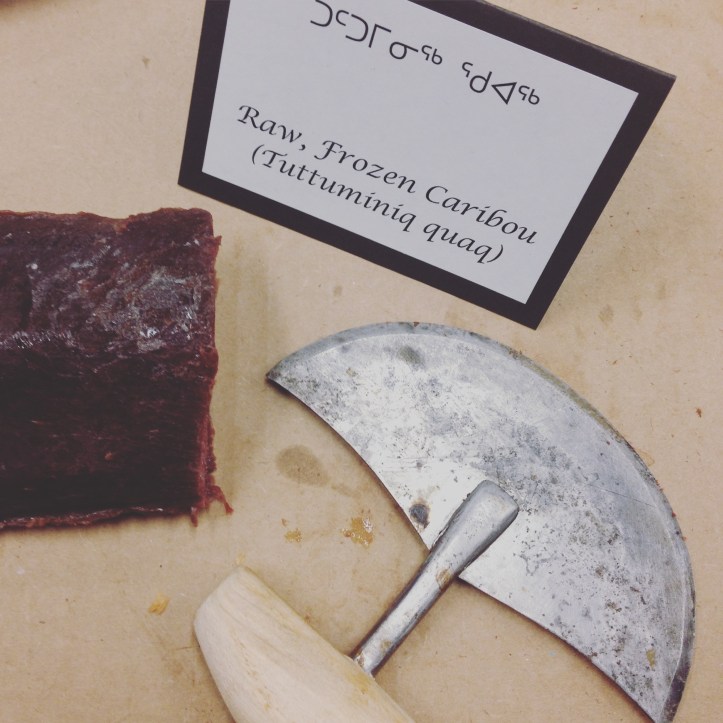 taste of the arctic preview